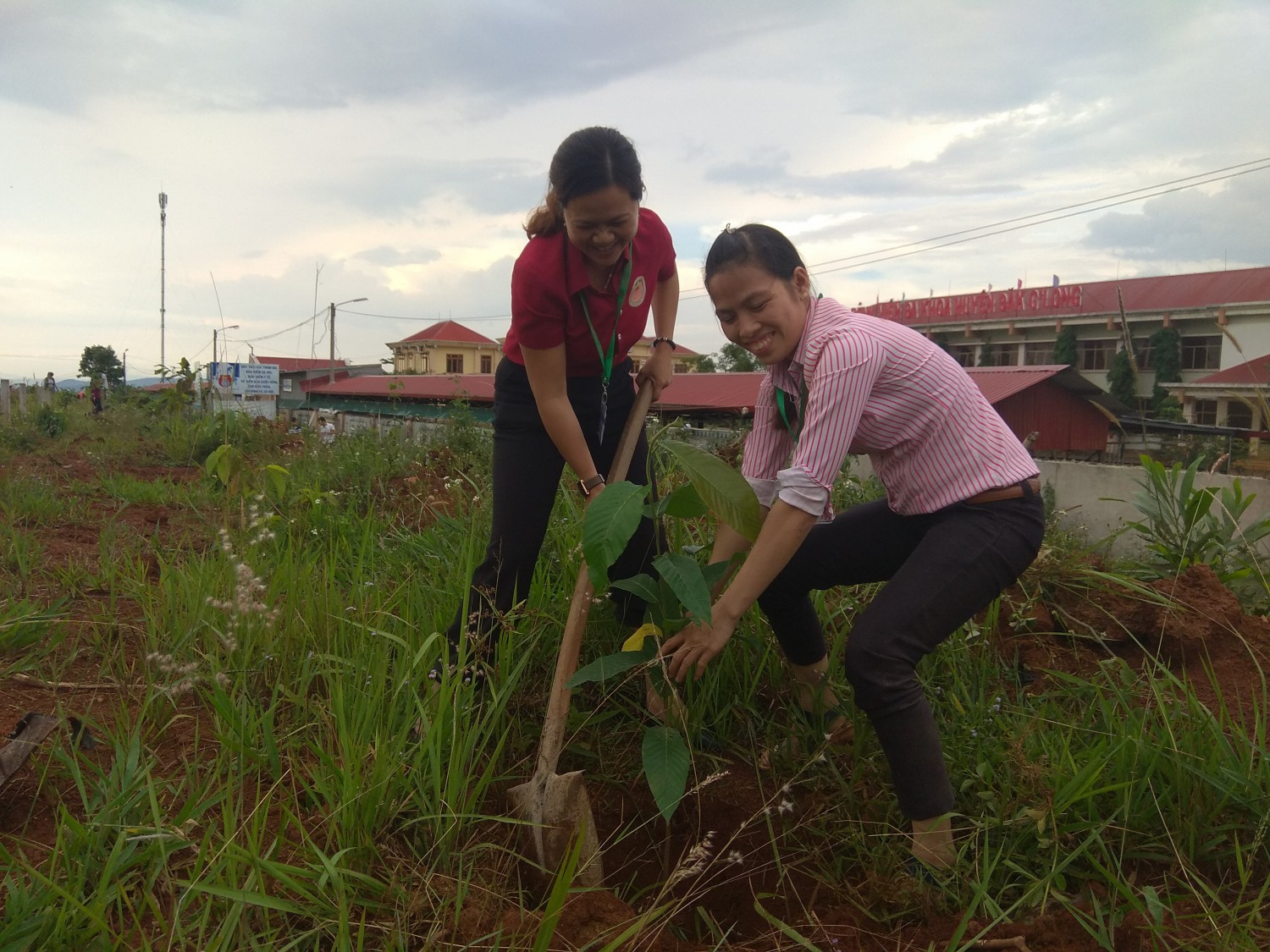Phát động Tết trồng cây mừng sinh nhật Bác