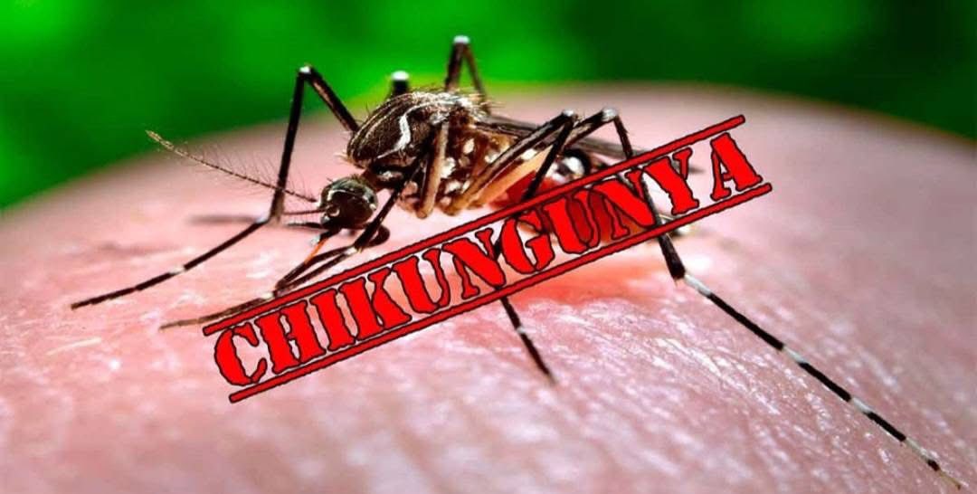 phòng ,chống bệnh Chikungunya